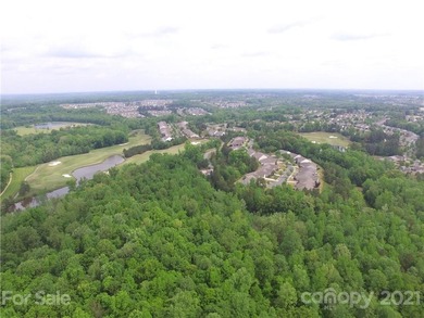 Own a piece of paradise along the Catawba River (114ac.) just - photo 13