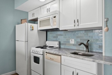 So you say you've been looking for an oceanfront condo that - photo 14