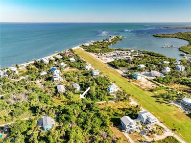 Great Value for a building lot on North Captiva Island! This - photo 14