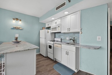 So you say you've been looking for an oceanfront condo that - photo 15