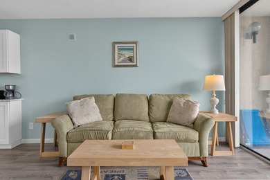 So you say you've been looking for an oceanfront condo that - photo 22