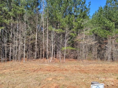 Lake Lot For Sale in Abbeville, South Carolina