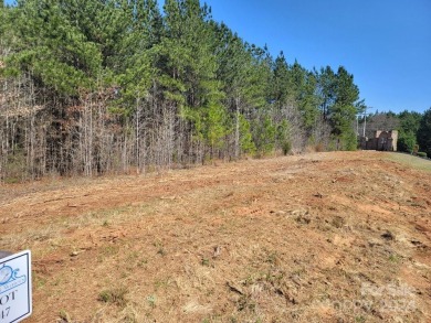 BEAUTIFUL LAKE SECESSION CORNER LOT FOR NEW HOME, GREAT WATERS - photo 4