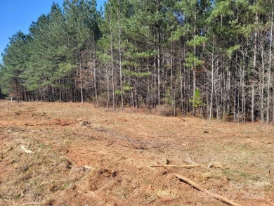 BEAUTIFUL LAKE SECESSION CORNER LOT FOR NEW HOME, GREAT WATERS - photo 5