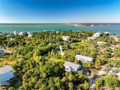 Great Value for a building lot on North Captiva Island! This - photo 11