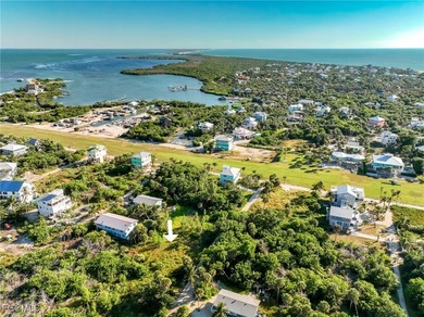 Great Value for a building lot on North Captiva Island! This - photo 12
