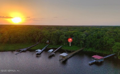 Lake Lot For Sale in Palatka, Florida