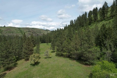 On the edge of Kendrick, Idaho, this private 713+ acre property - photo 3