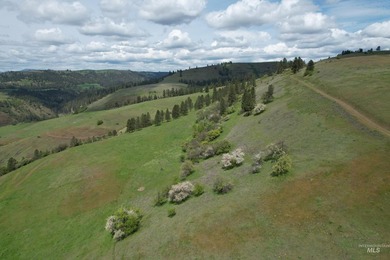 On the edge of Kendrick, Idaho, this private 713+ acre property - photo 4