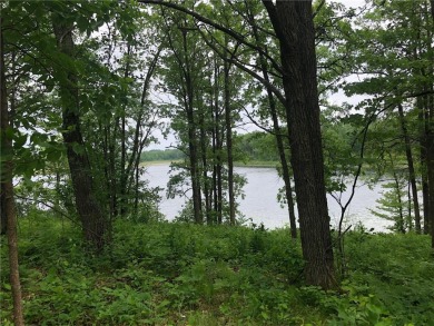 Lake Acreage For Sale in Walker, Minnesota