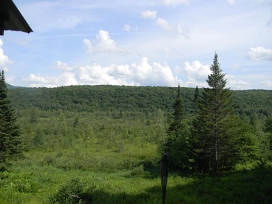 Discover a rare opportunity to own a camp within the heart of - photo 34