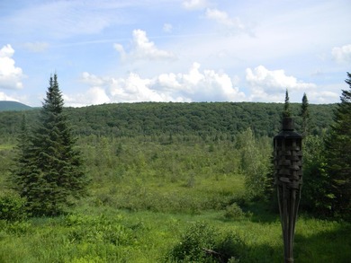 Discover a rare opportunity to own a camp within the heart of - photo 35