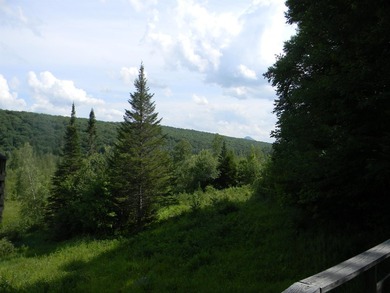 Discover a rare opportunity to own a camp within the heart of - photo 36