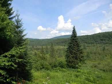 Discover a rare opportunity to own a camp within the heart of - photo 37