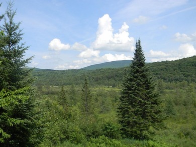 Discover a rare opportunity to own a camp within the heart of - photo 38