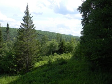 Discover a rare opportunity to own a camp within the heart of - photo 39