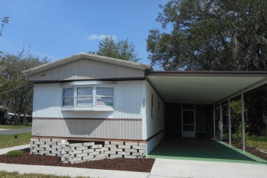 Lake Home For Sale in Fruitland Park, Florida