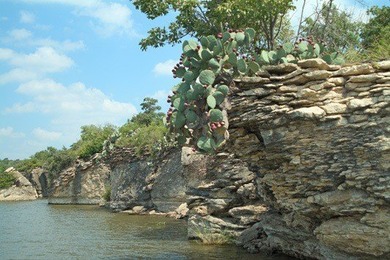 Stunning Lake Views, fully Updated Lake House on Lake Bridgeport - photo 4