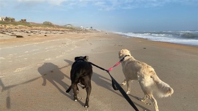 Find Your Own Piece of Sunshine in Flagler Beach! 
Fall in love - photo 11