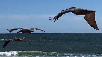 Find Your Own Piece of Sunshine in Flagler Beach! 
Fall in love - photo 15