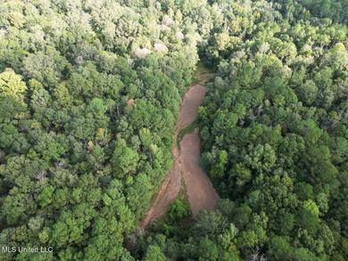 Welcome to Turkey Roost. This property is 495+- acres in - photo 21