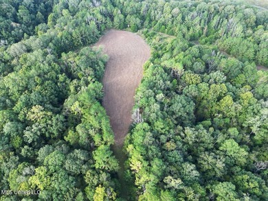 Welcome to Turkey Roost. This property is 495+- acres in - photo 23