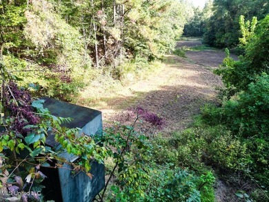 Welcome to Turkey Roost. This property is 495+- acres in - photo 24