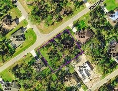 This is a fantastic opportunity to own a large piece of land in - photo 1
