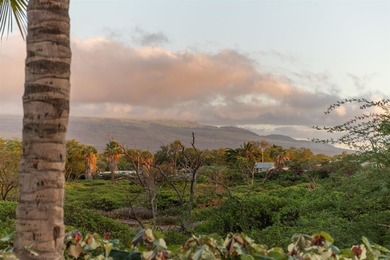 A serene and private retreat in the heart of all of Kihei's - photo 33
