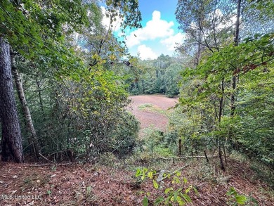 Welcome to Turkey Roost. This property is 495+- acres in - photo 35