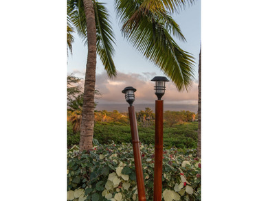 A serene and private retreat in the heart of all of Kihei's - photo 38