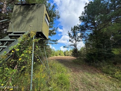 Welcome to Turkey Roost. This property is 495+- acres in - photo 39