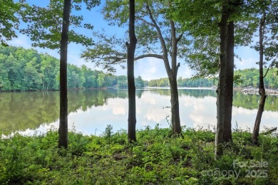 Lake Townhome/Townhouse For Sale in Charlotte, North Carolina