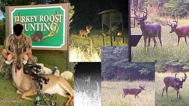 Welcome to Turkey Roost. This property is 495+- acres in - photo 44