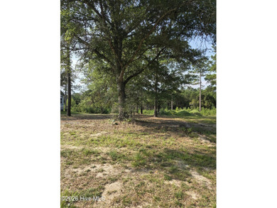 Ocean Ridge Plantation is home to the elegant country club - photo 5