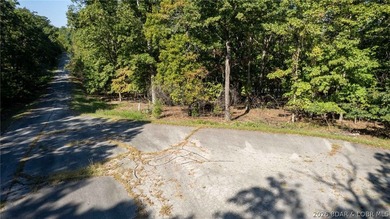 Owner financing available: 20% down at 5% interest, amortized - photo 7