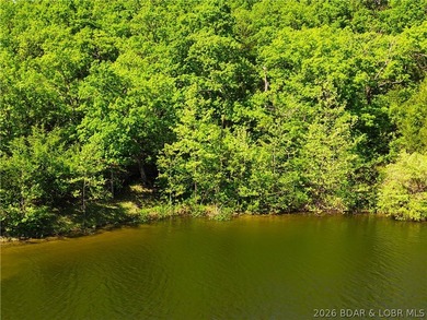 RARE DOUBLE LAKEFRONT OPPORTUNITY ON POCAHONTAS LAKE! Own - photo 2