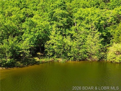 RARE DOUBLE LAKEFRONT OPPORTUNITY ON POCAHONTAS LAKE! Own - photo 2