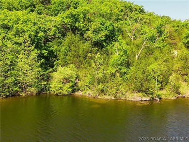 RARE DOUBLE LAKEFRONT OPPORTUNITY ON POCAHONTAS LAKE! Own - photo 3