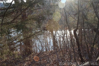 RARE DOUBLE LAKEFRONT OPPORTUNITY ON POCAHONTAS LAKE! Own - photo 7