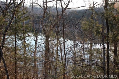 RARE DOUBLE LAKEFRONT OPPORTUNITY ON POCAHONTAS LAKE! Own - photo 8