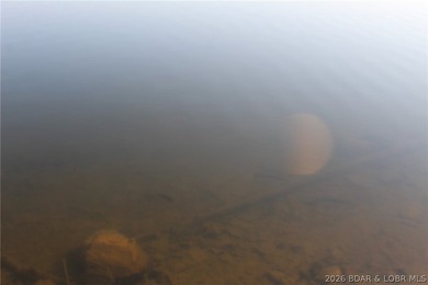 RARE DOUBLE LAKEFRONT OPPORTUNITY ON POCAHONTAS LAKE! Own - photo 9