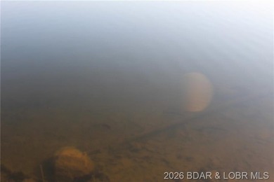 RARE DOUBLE LAKEFRONT OPPORTUNITY ON POCAHONTAS LAKE! Own - photo 9
