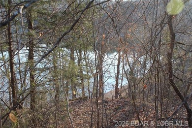 RARE DOUBLE LAKEFRONT OPPORTUNITY ON POCAHONTAS LAKE! Own - photo 10