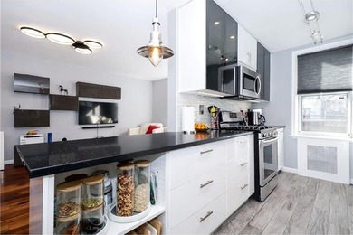 Sun-filled, fully renovated 800 SF home with a modern open