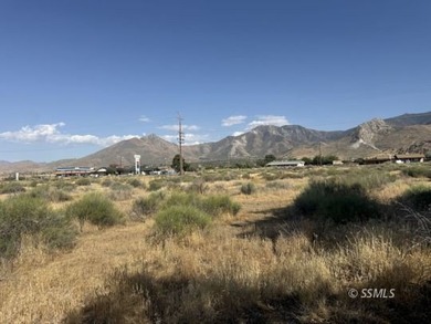Flat, usable acreage just off Highway 178 in South Lake offering - photo 12