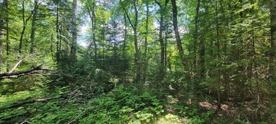 1.55 nicely wooded Acres in Natural Lakes Preserve ready for - photo 14