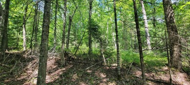 1.55 nicely wooded Acres in Natural Lakes Preserve ready for - photo 15