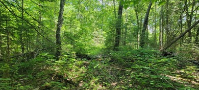 1.55 nicely wooded Acres in Natural Lakes Preserve ready for - photo 16