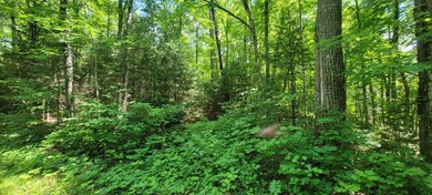 1.55 nicely wooded Acres in Natural Lakes Preserve ready for - photo 17